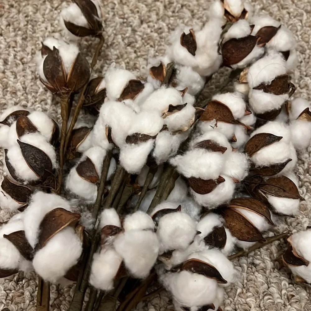 LIKE NEW COTTON STEMS - PACK OF 4